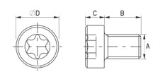 Cilinderfejű csavar Torx Peek  [187]